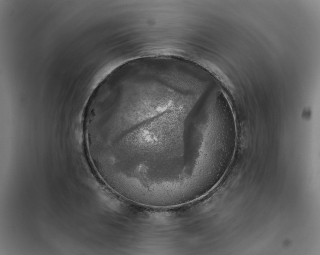 X0000102021031200807251327