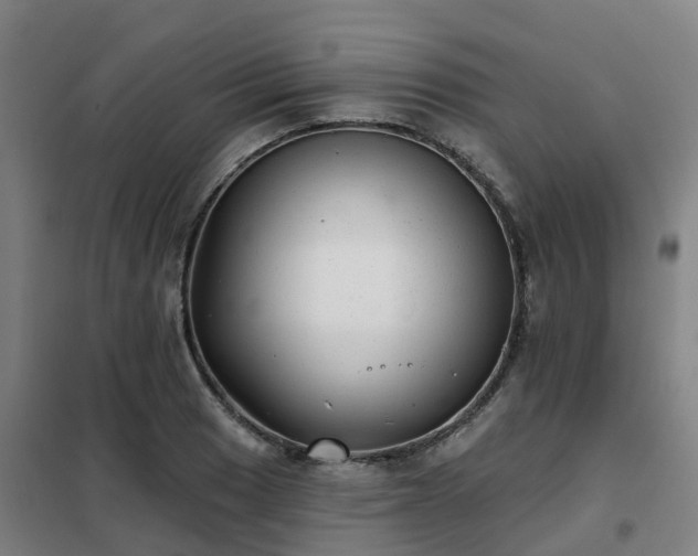 X0000102021033200807251327