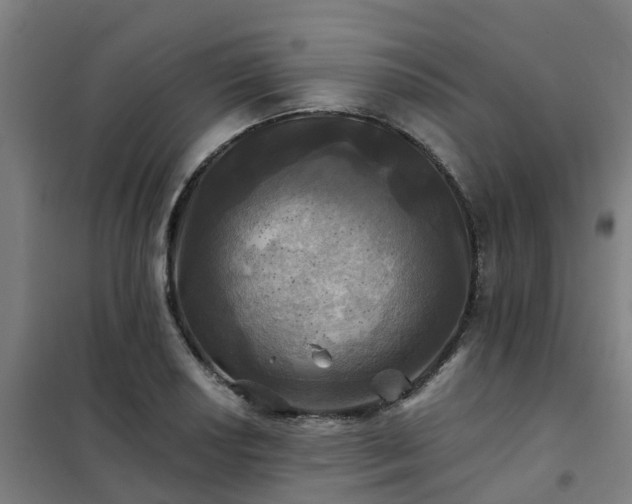 X0000102021034200807251327