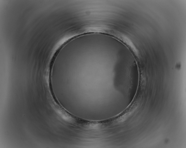 X0000102021035200807251327