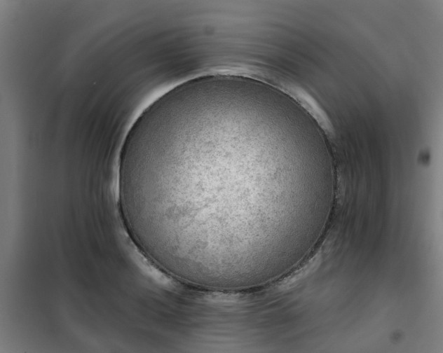 X0000102021036200807251327