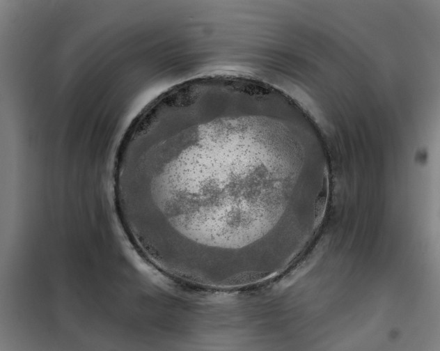 X0000102021038200807251327