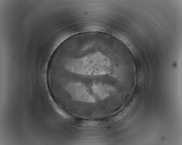 X0000102021039200807251327
