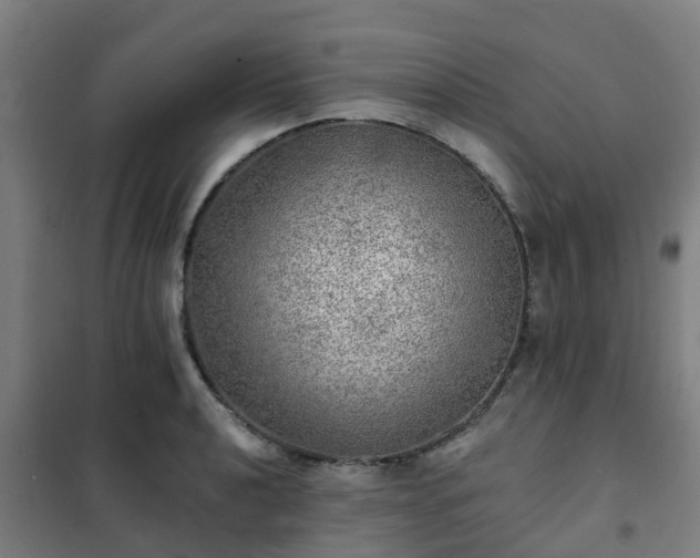 X0000102021040200807251327