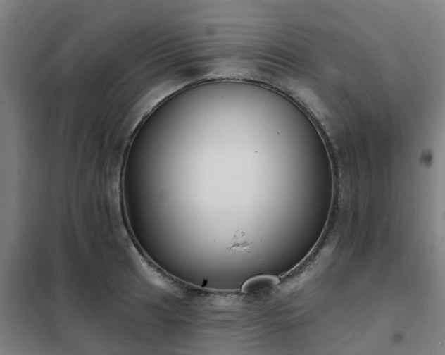 X0000102021041200807251327