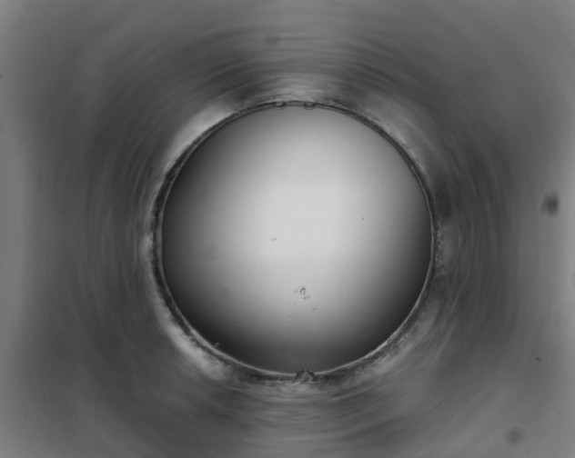 X0000102021042200807251327