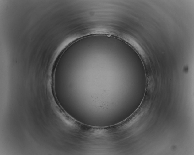 X0000102021043200807251327