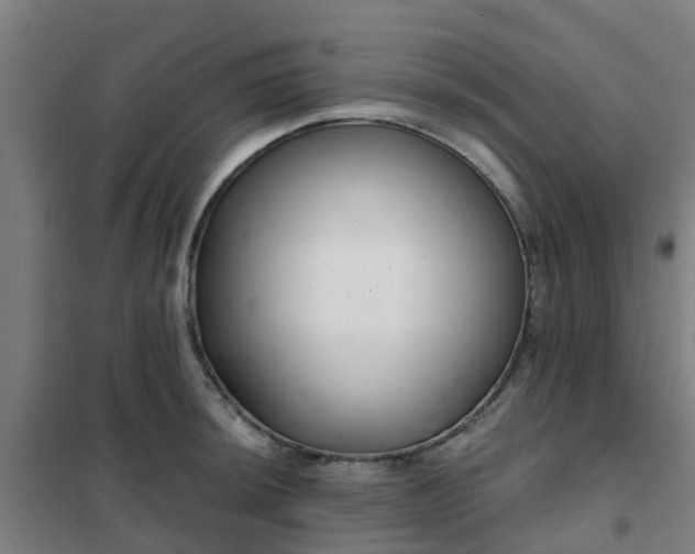 X0000102021044200807251327