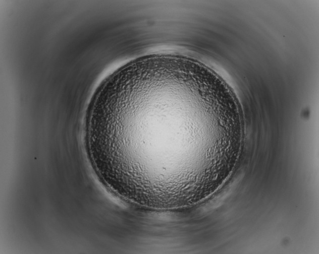 X0000102021045200807251327