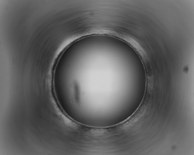 X0000102021046200807251327