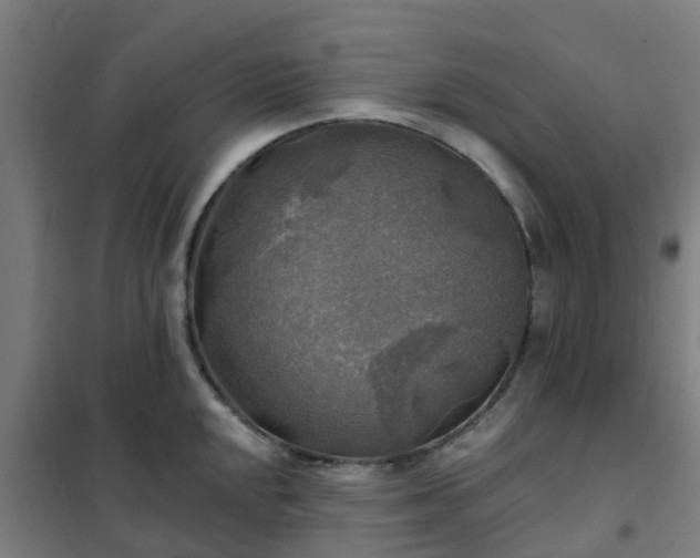 X0000102021048200807251327