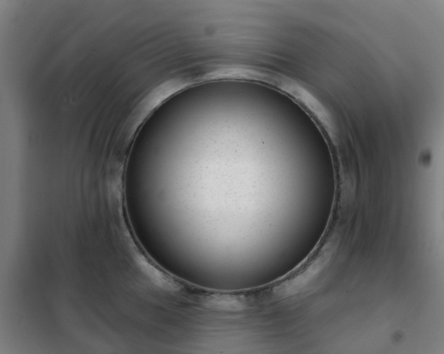 X0000102021049200807251327