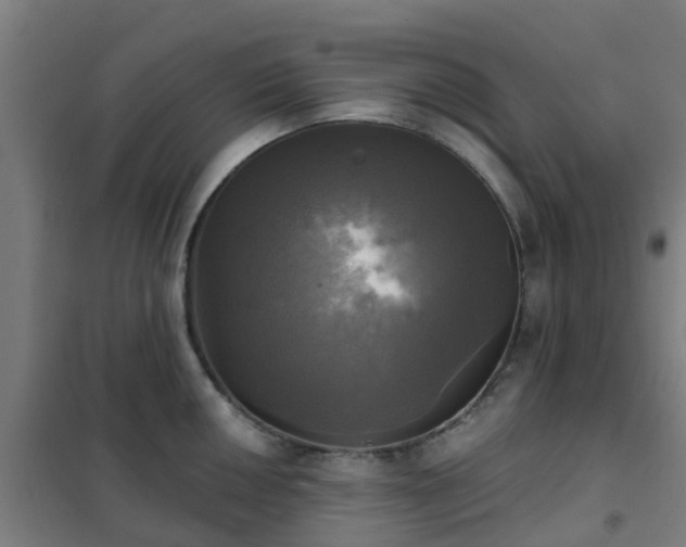 X0000102021050200807251327