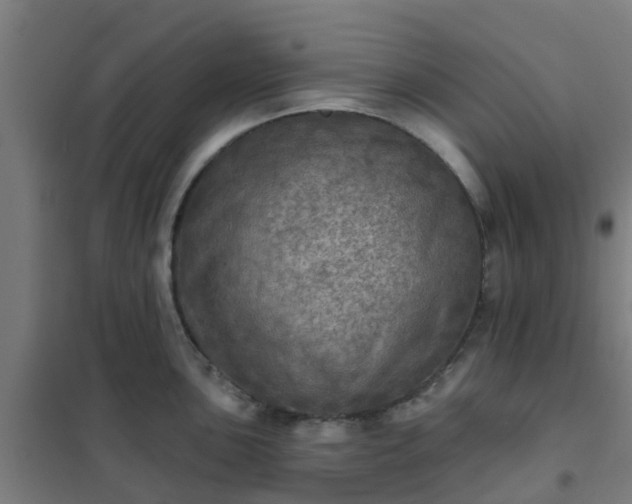 X0000102021051200807251327