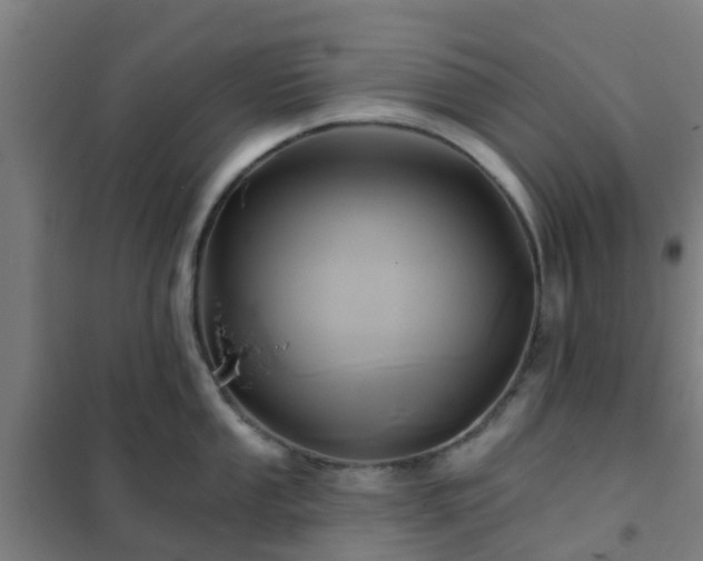 X0000102021053200807251327