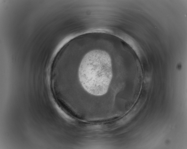 X0000102021054200807251327