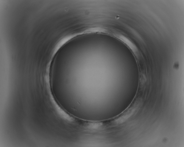 X0000102021055200807251327