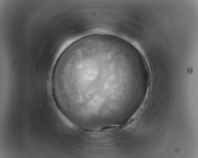 X0000102021056200807251327