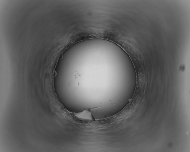 X0000102021057200807251327