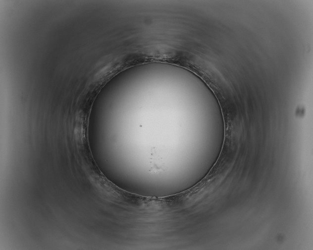 X0000102021058200807251327