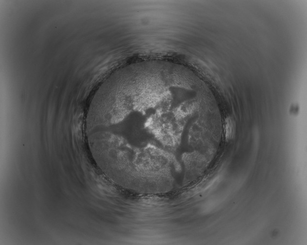 X0000102021059200807251327