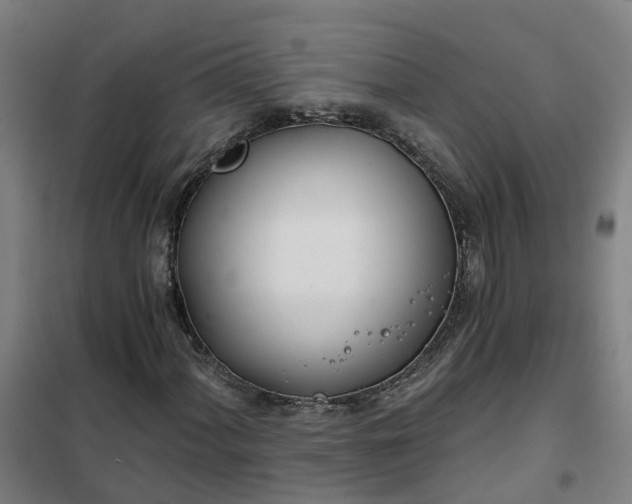 X0000102021060200807251327