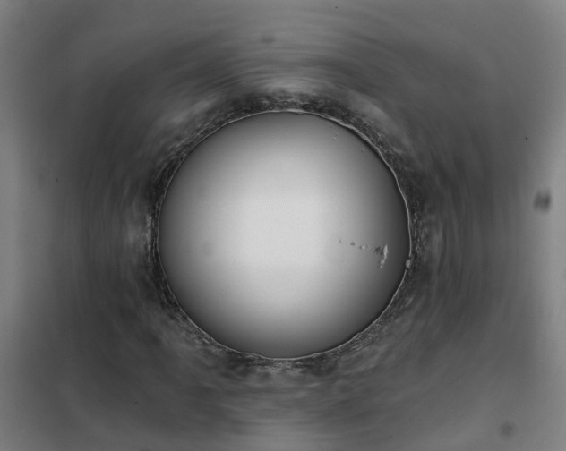 X0000102021061200807251327