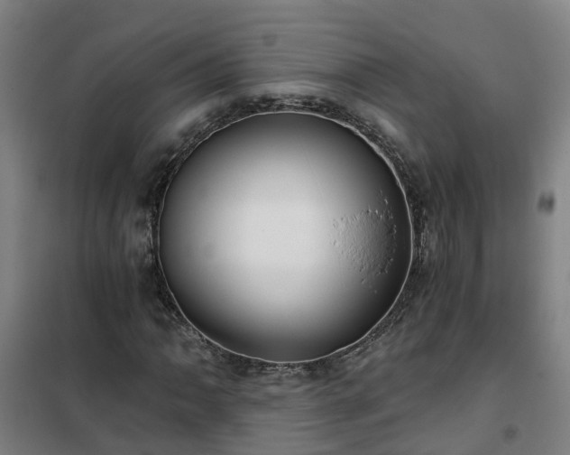 X0000102021062200807251326