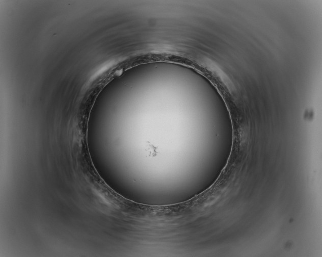 X0000102021064200807251326