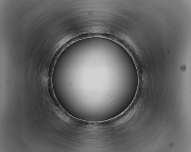 X0000102021065200807251326