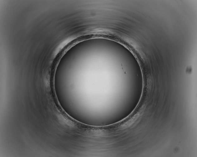 X0000102021066200807251326
