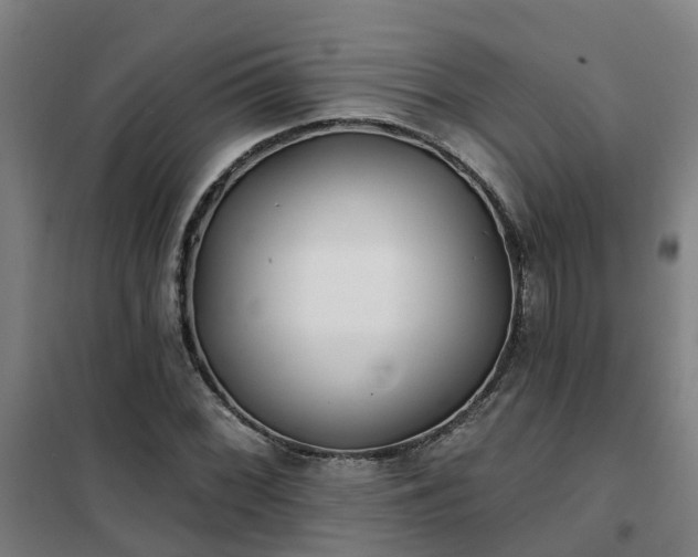 X0000102021068200807251326
