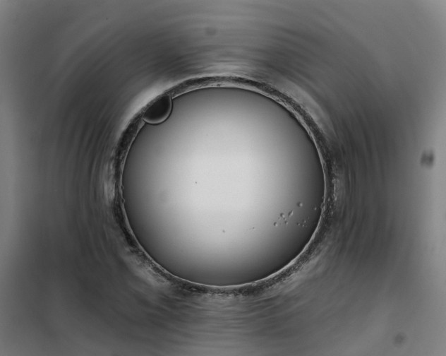 X0000102021069200807251326