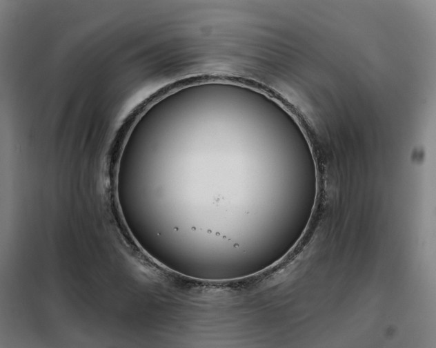 X0000102021070200807251326