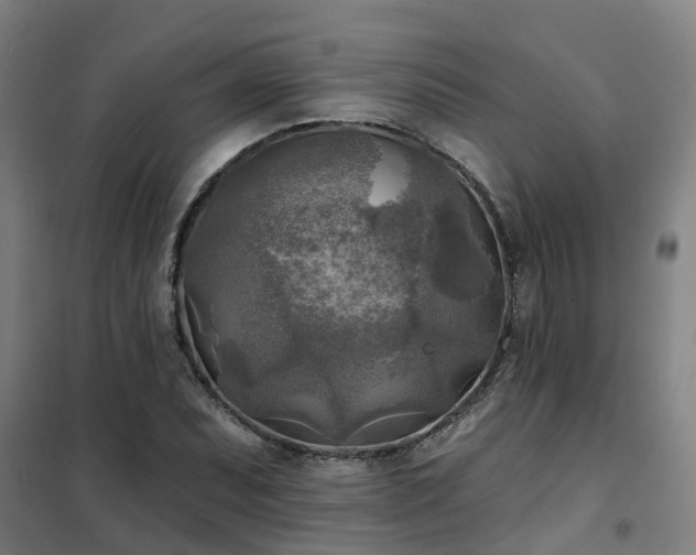 X0000102021071200807251326