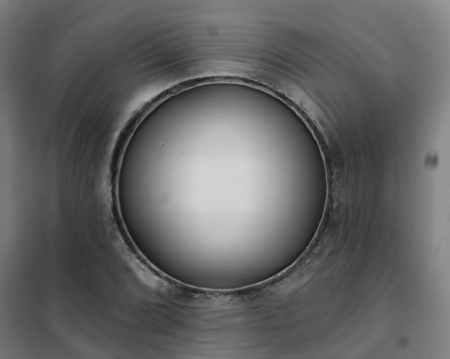 X0000102021072200807251326