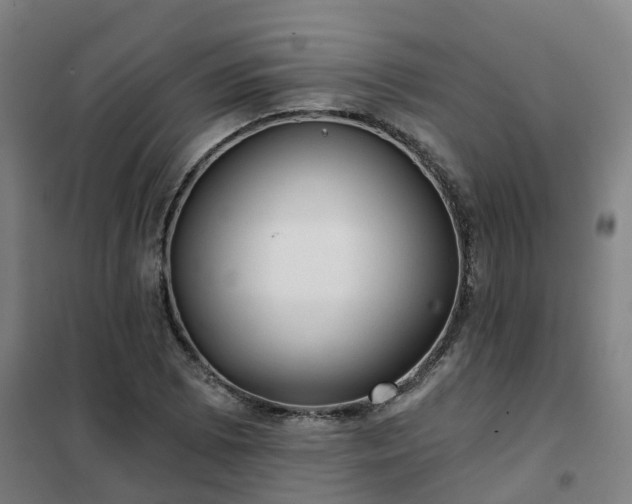 X0000102021073200807251326