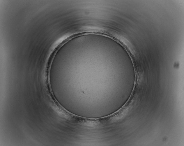X0000102021074200807251326