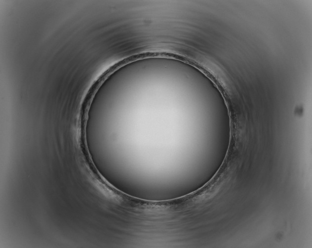 X0000102021076200807251326