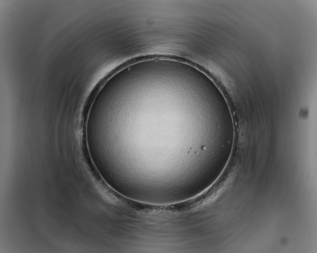 X0000102021077200807251326