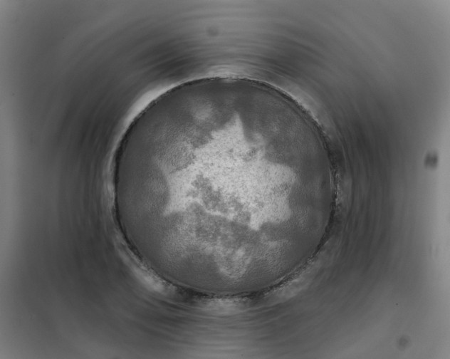 X0000102021078200807251326