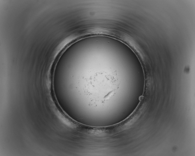 X0000102021082200807251326