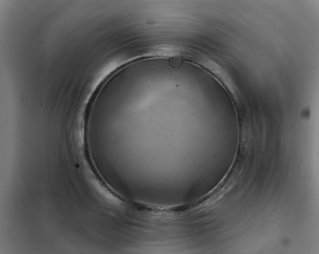 X0000102021083200807251326
