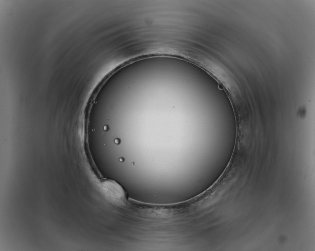 X0000102021084200807251326