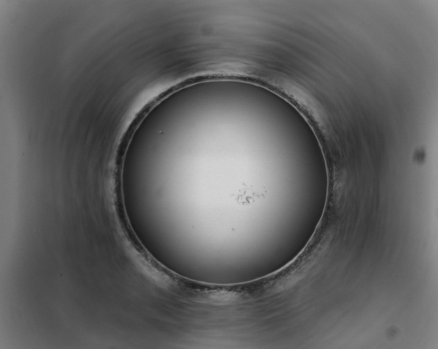X0000102021085200807251326