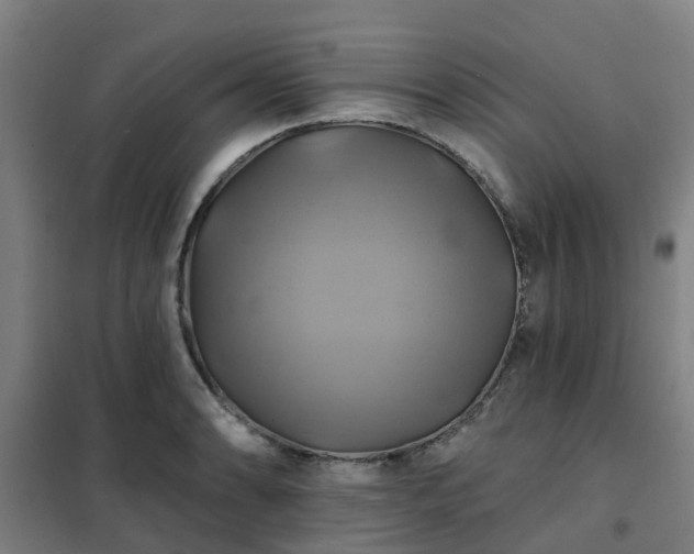 X0000102021086200807251326