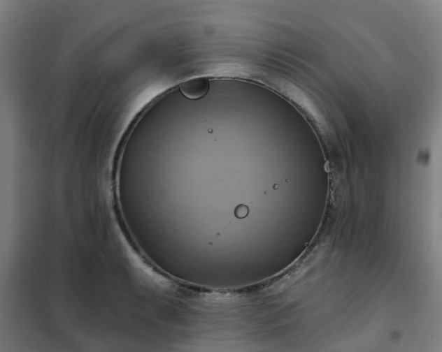 X0000102021087200807251326