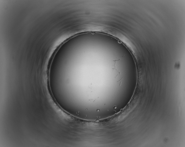 X0000102021088200807251326