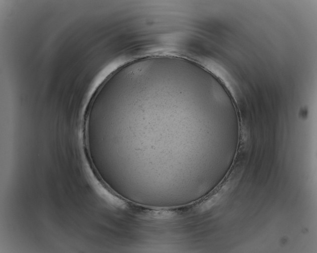 X0000102021090200807251326