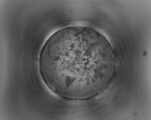 X0000102021091200807251326